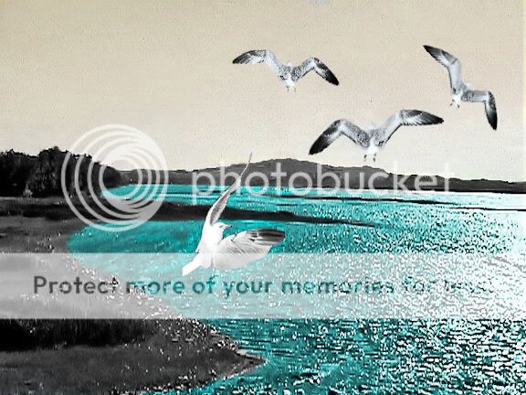 Color Splash Pictures, Images and Photos