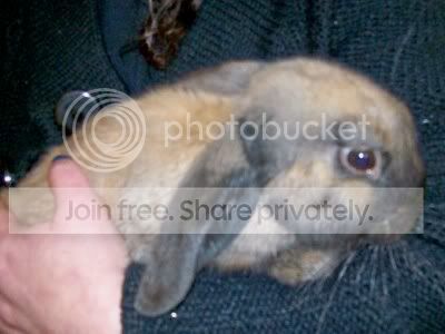 Button born 21 December 2008 - just visiting!