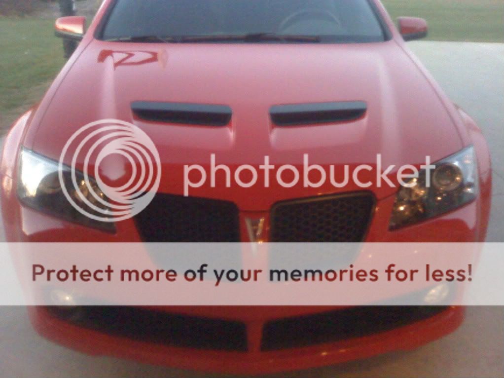 Front grill insert custom painting? Pontiac G8 Forum