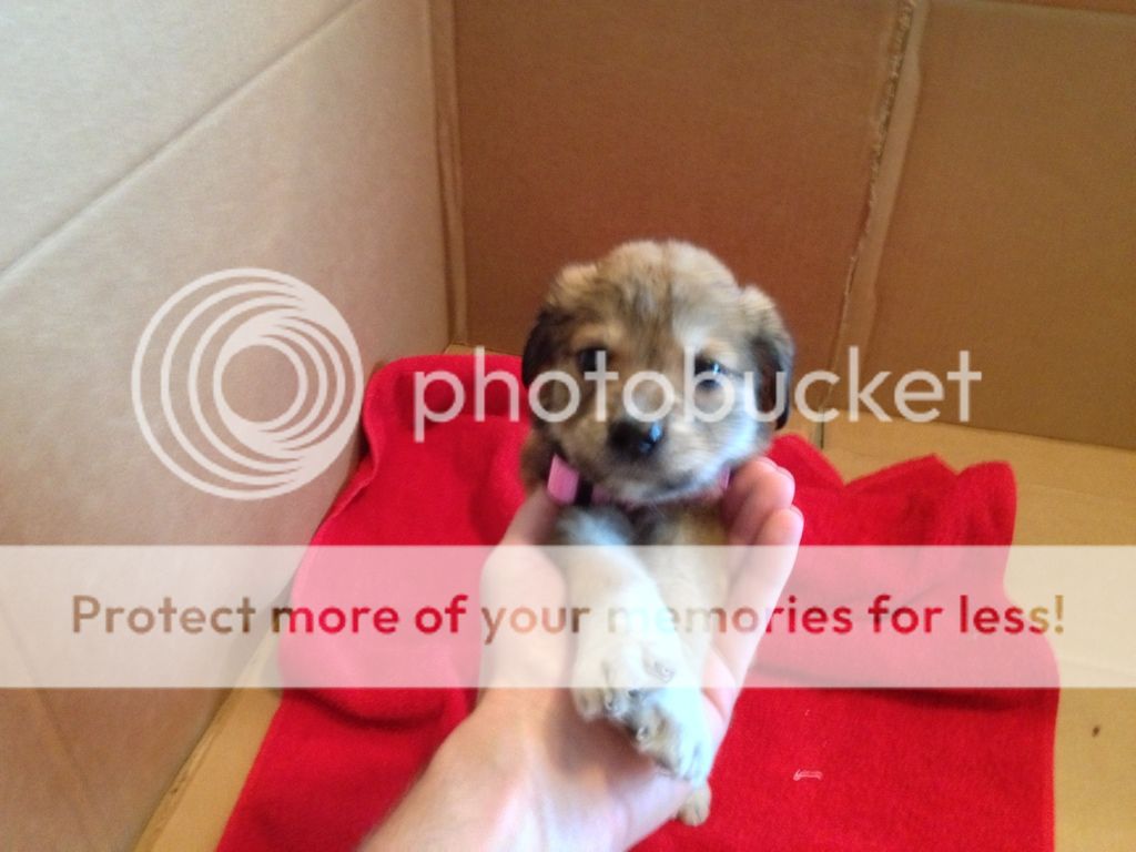 Photobucket Pictures, Images and Photos