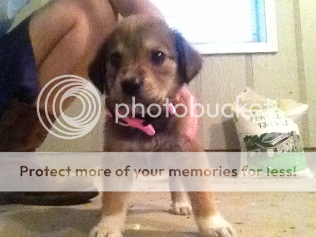 Photobucket Pictures, Images and Photos