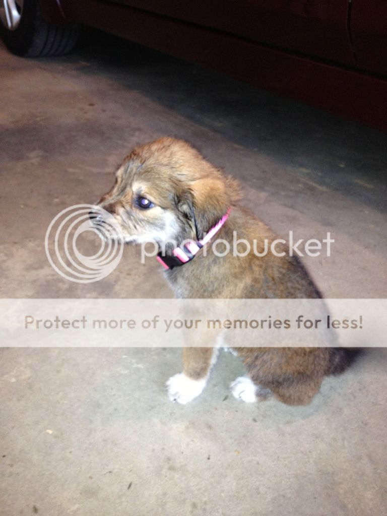 Photobucket Pictures, Images and Photos