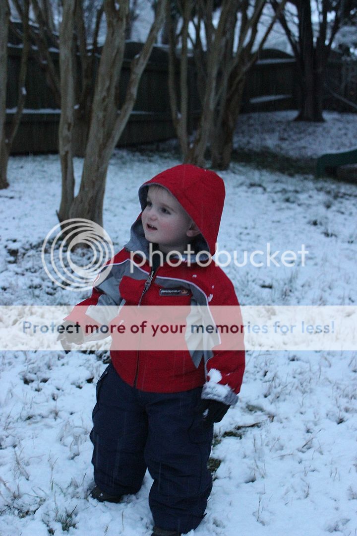 photo snow18_zps237eefa6.jpg