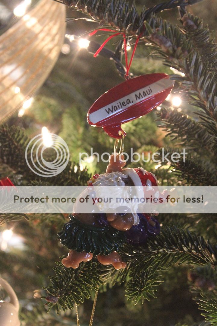 photo Christmas37_zps45493a4b.jpg
