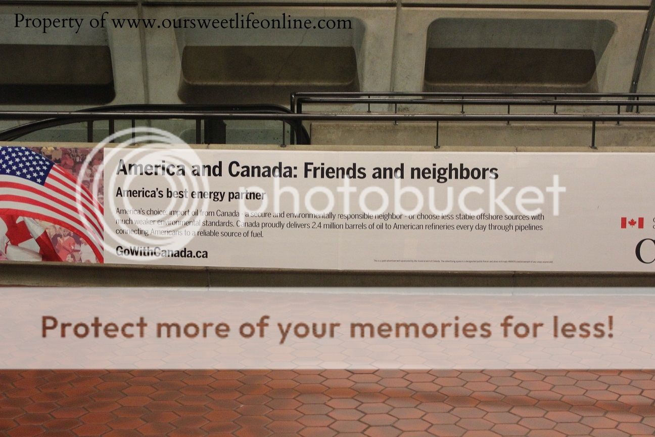 photo DC12_zps7675cba4.jpg