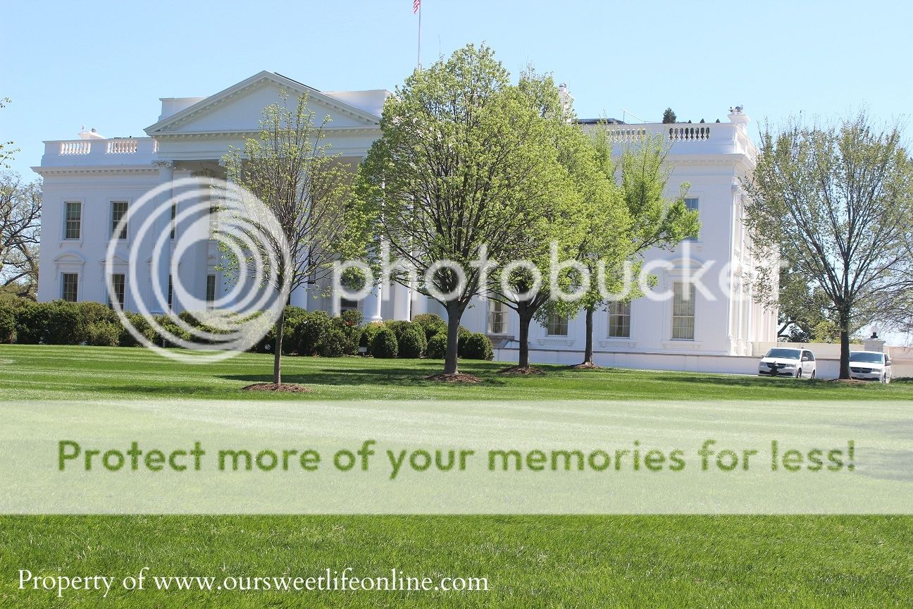 photo DC16_zps4eecbd2b.jpg