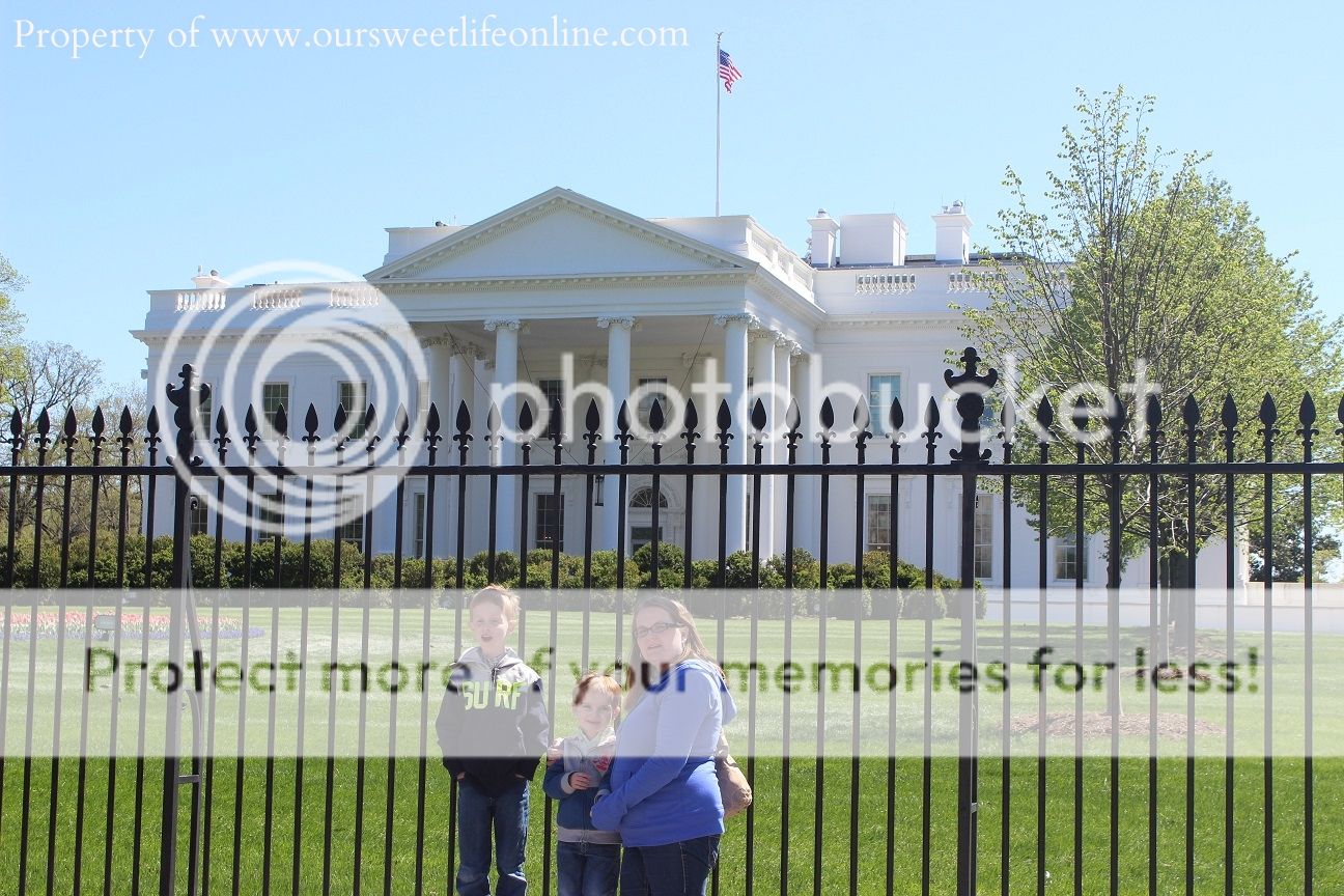 photo DC17_zps9a890e7e.jpg