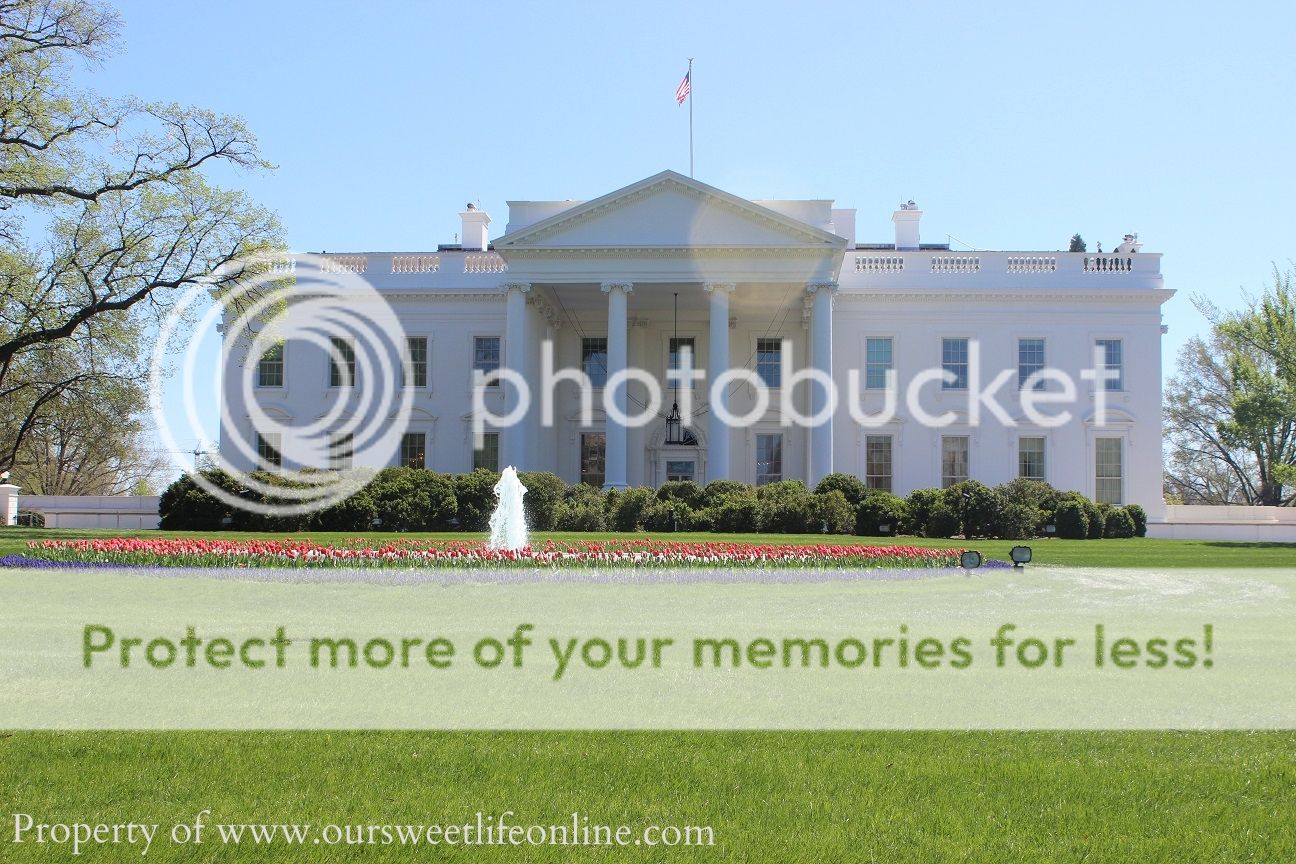 photo DC20_zpsccd90d33.jpg