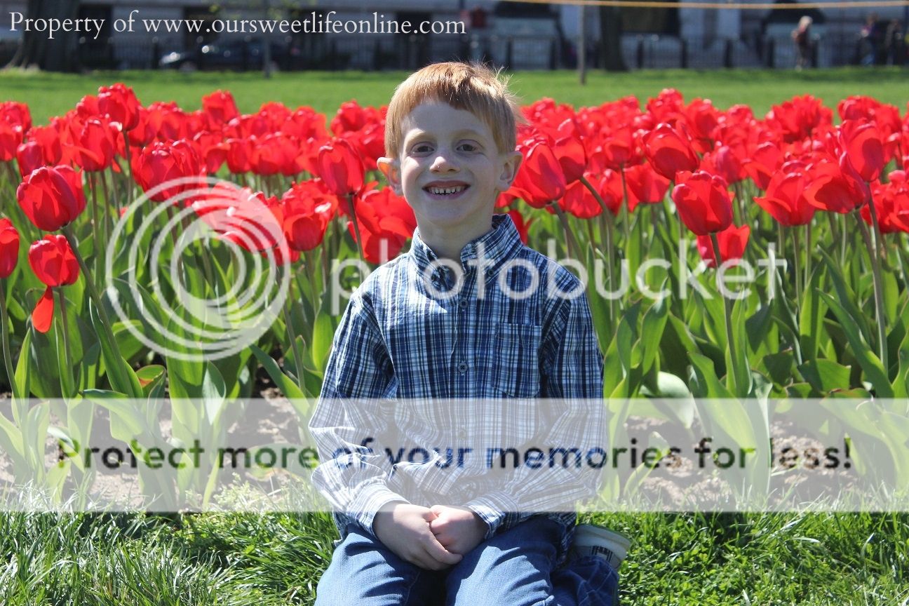 photo DC29_zps43d7aaf1.jpg