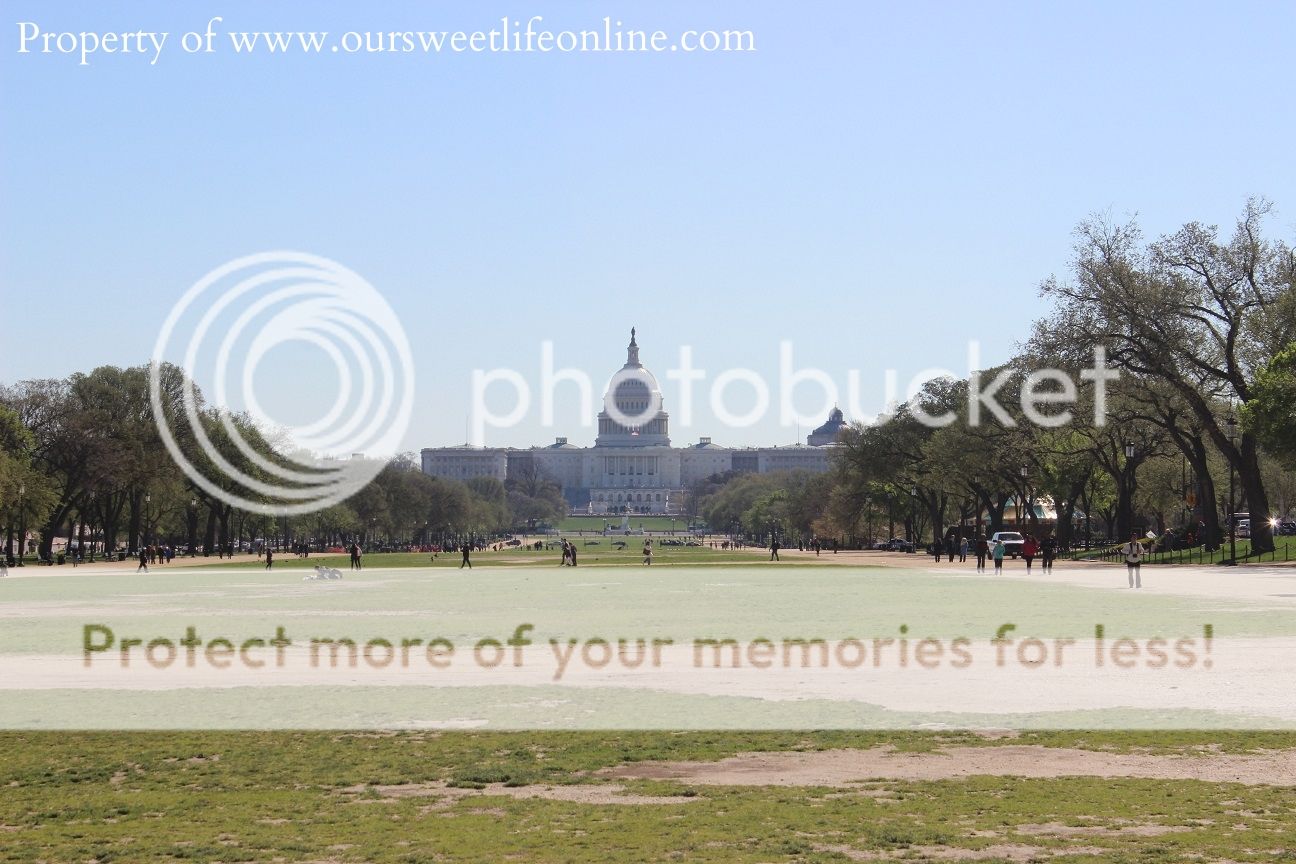 photo DC2_zps6d017d5b.jpg