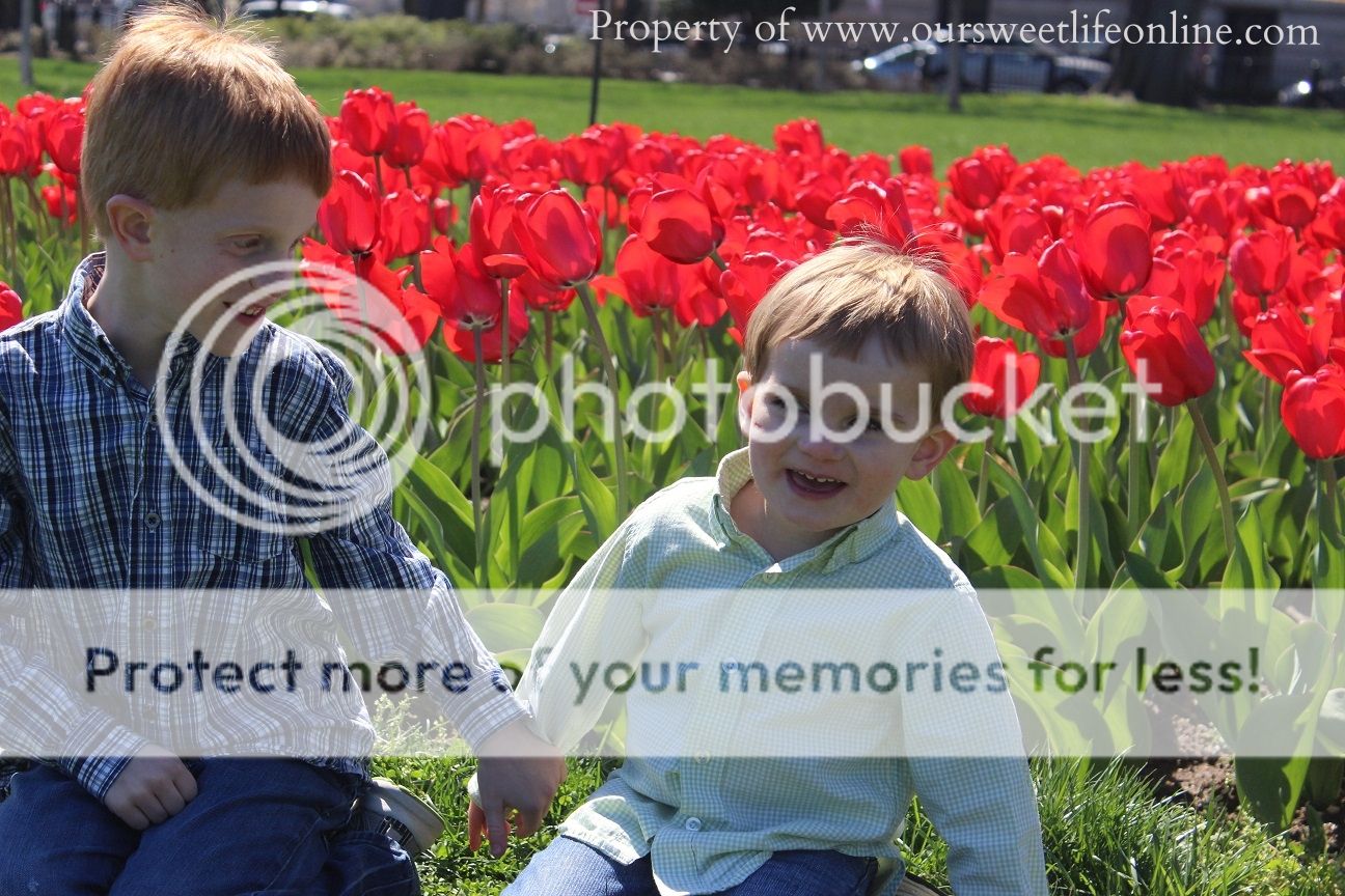 photo DC31_zps9904f4b0.jpg