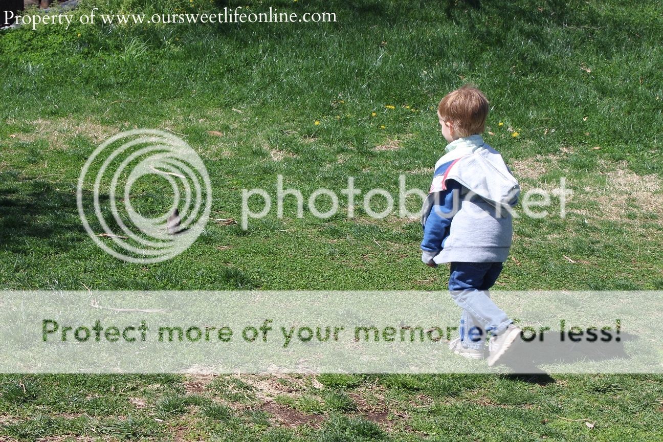 photo DC40_zps70eac5f2.jpg