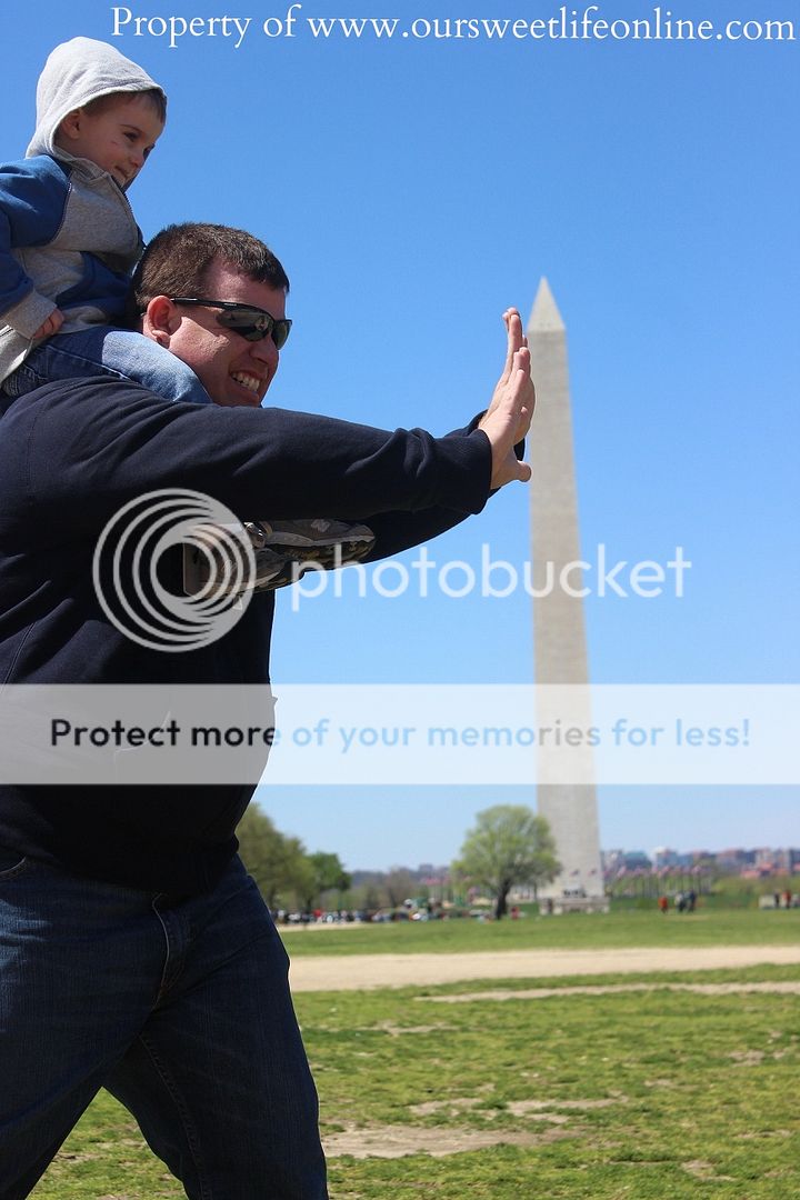 photo DC8_zps9e4b864f.jpg