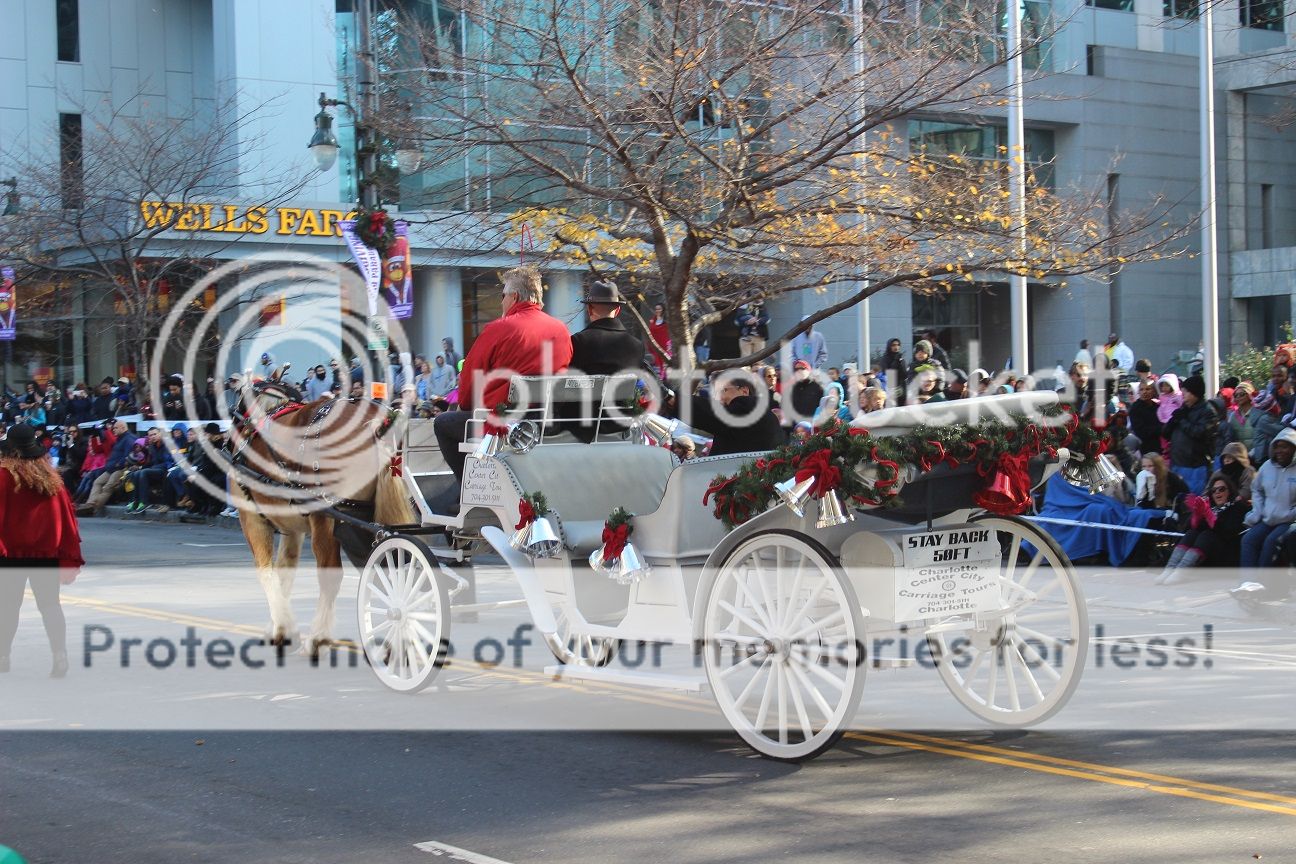 photo Thanksgiving16_zps0bb3631d.jpg