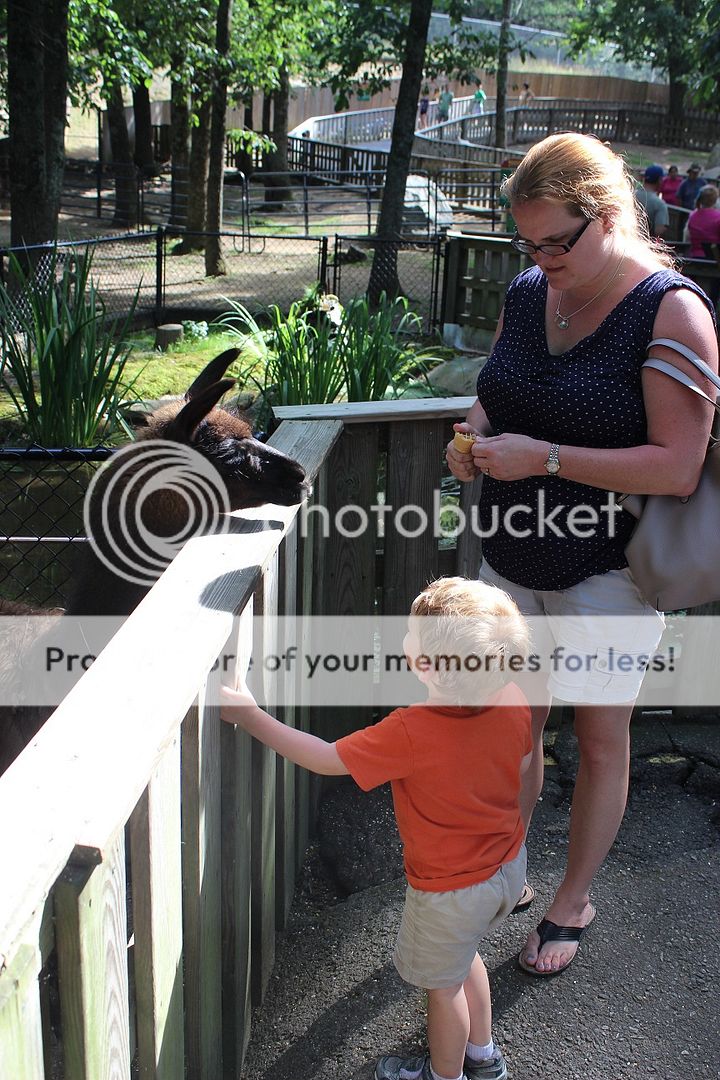 photo Tweetsie118_zps36f6f8e4.jpg