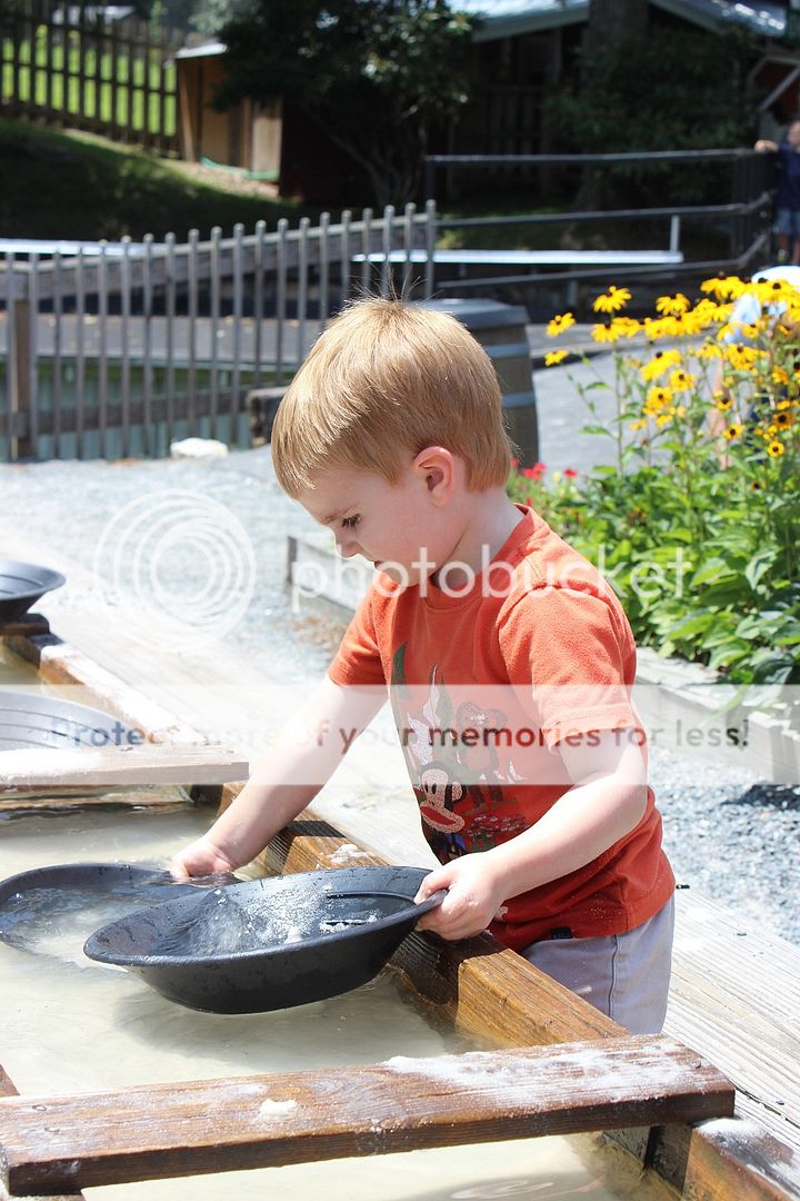 photo Tweetsie75_zps9c70868f.jpg
