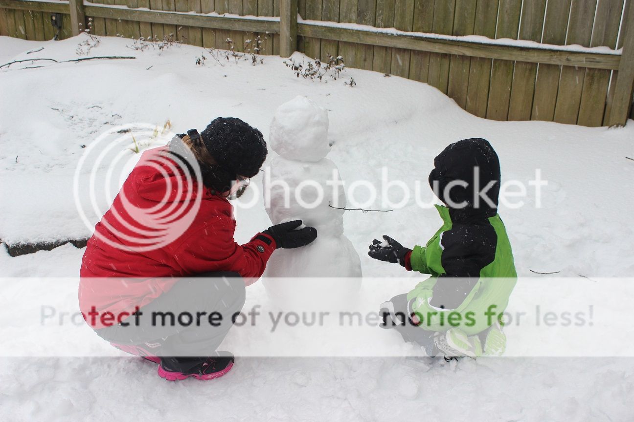 photo snow20_zpsb2ad120a.jpg