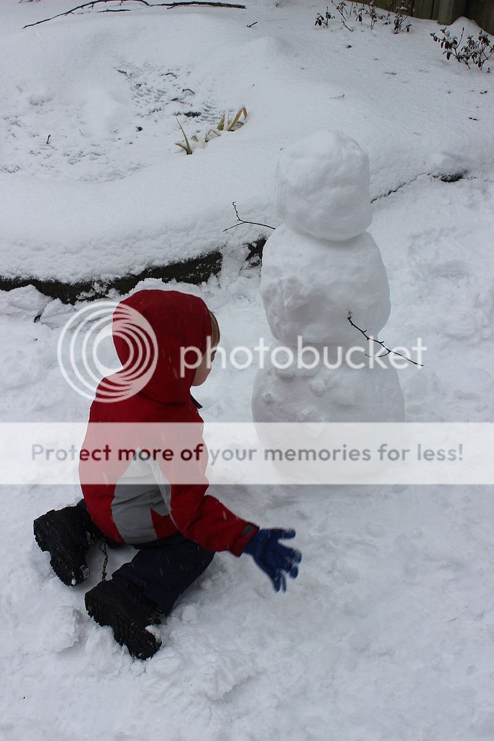 photo snow21_zpse61819b2.jpg