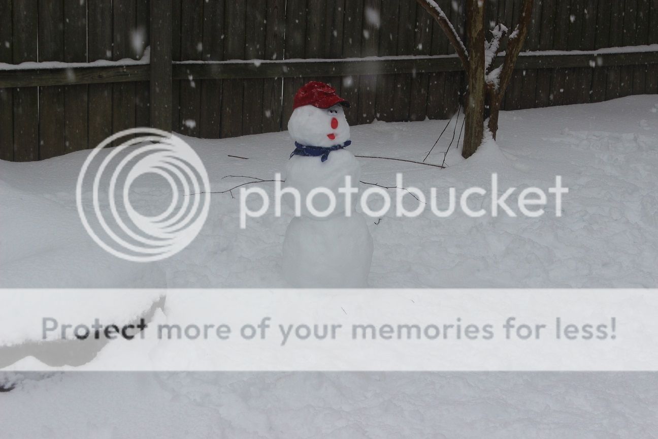 photo snow29_zps427ce1bb.jpg