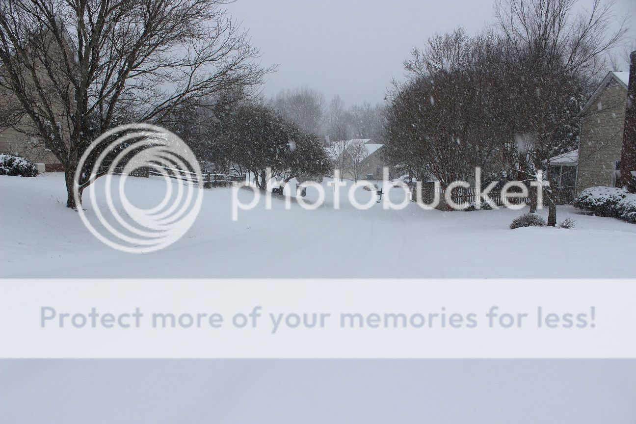 photo snow4_zpsa8676dbb.jpg