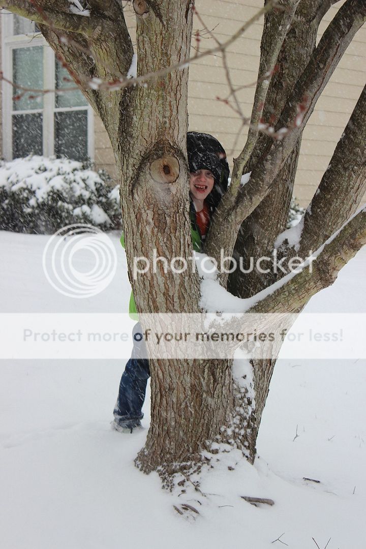 photo snow5_zps06328bbd.jpg