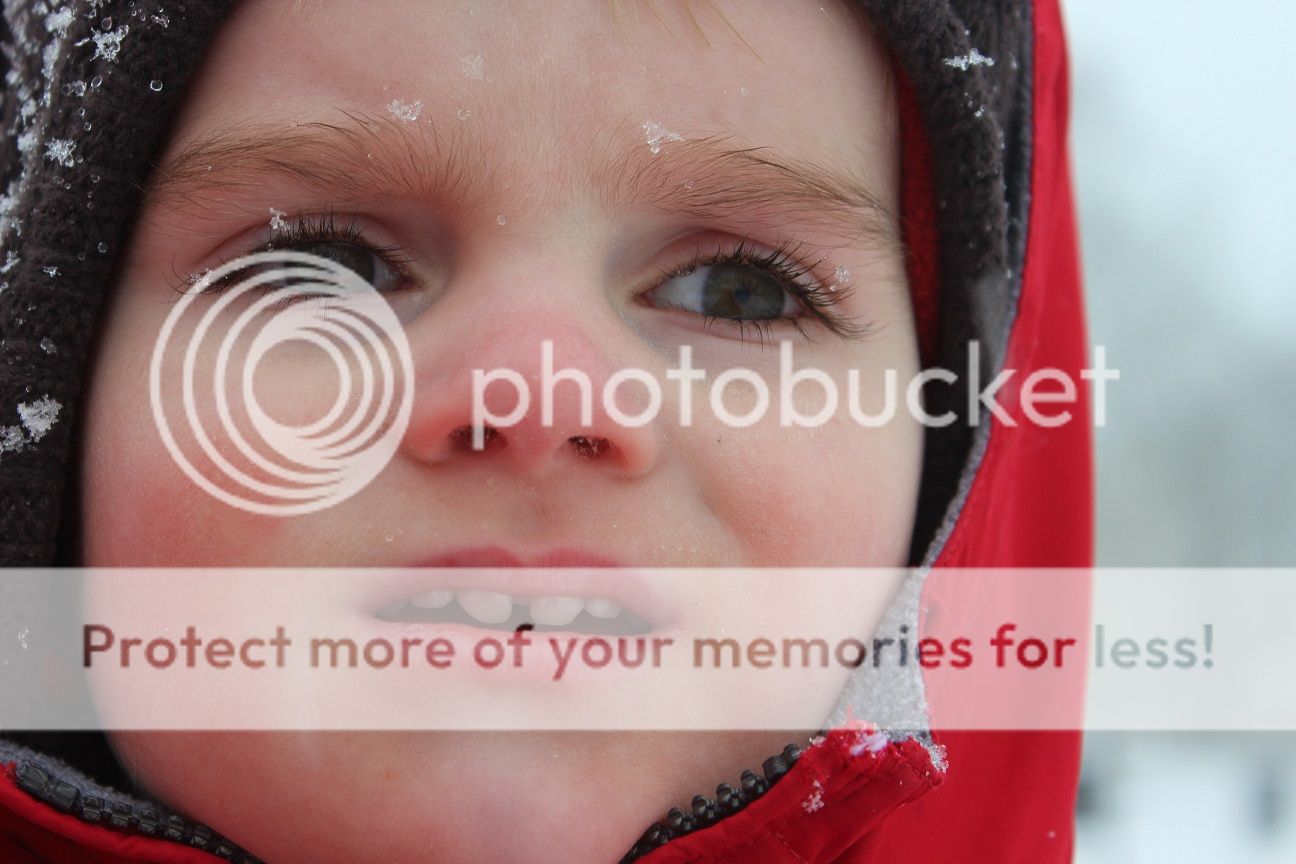 photo snow7_zps184c0a7c.jpg