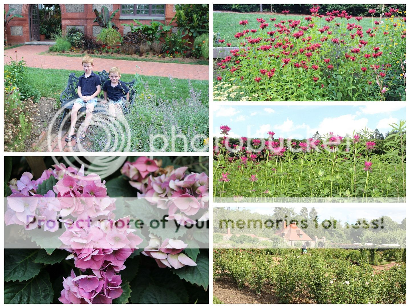 photo Asheville.collage10_zpsqgeexej6.jpg