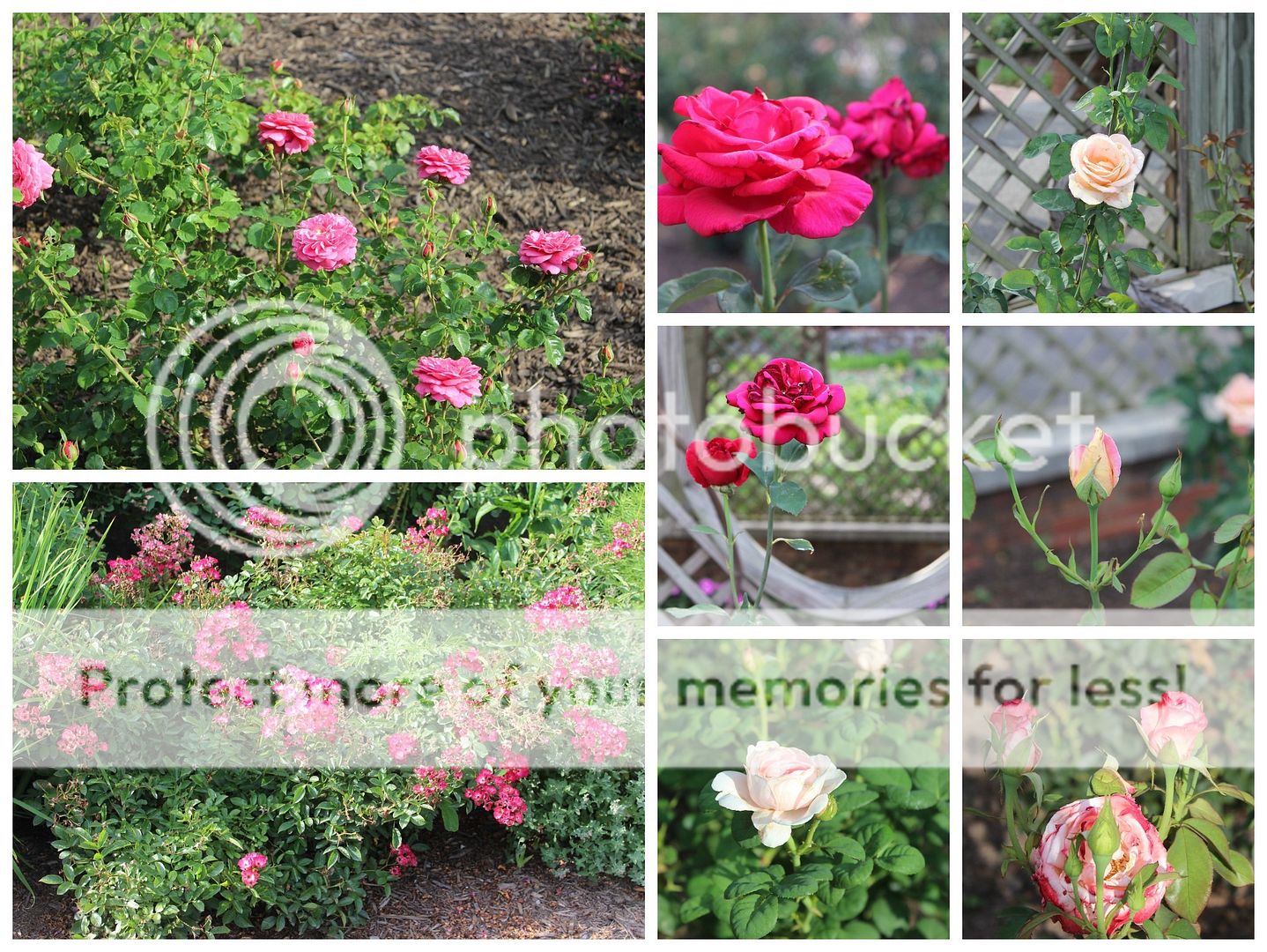 photo Asheville.collage11_zpshyfuzvxw.jpg