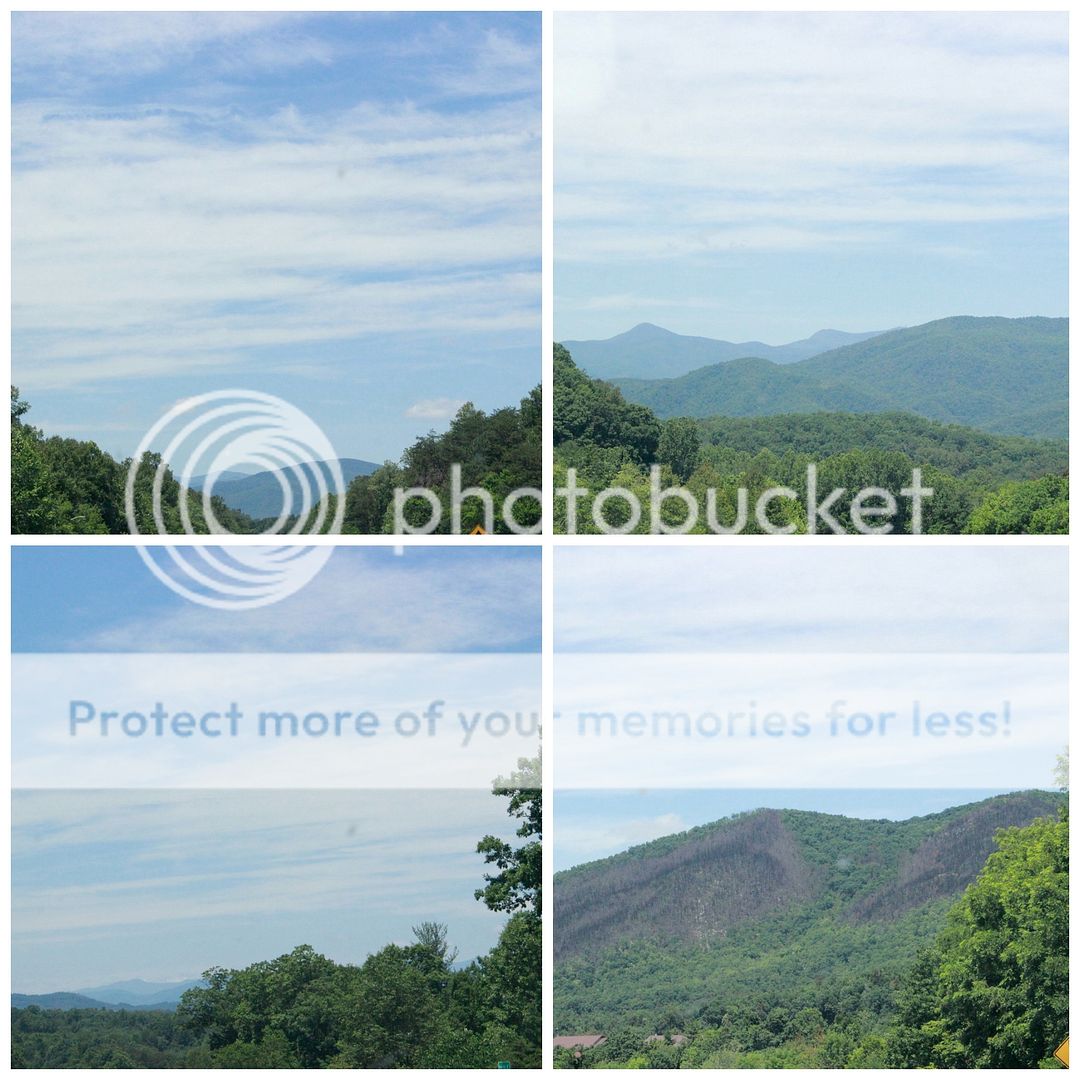 photo Asheville.collage2_zpsrefwelt3.jpg