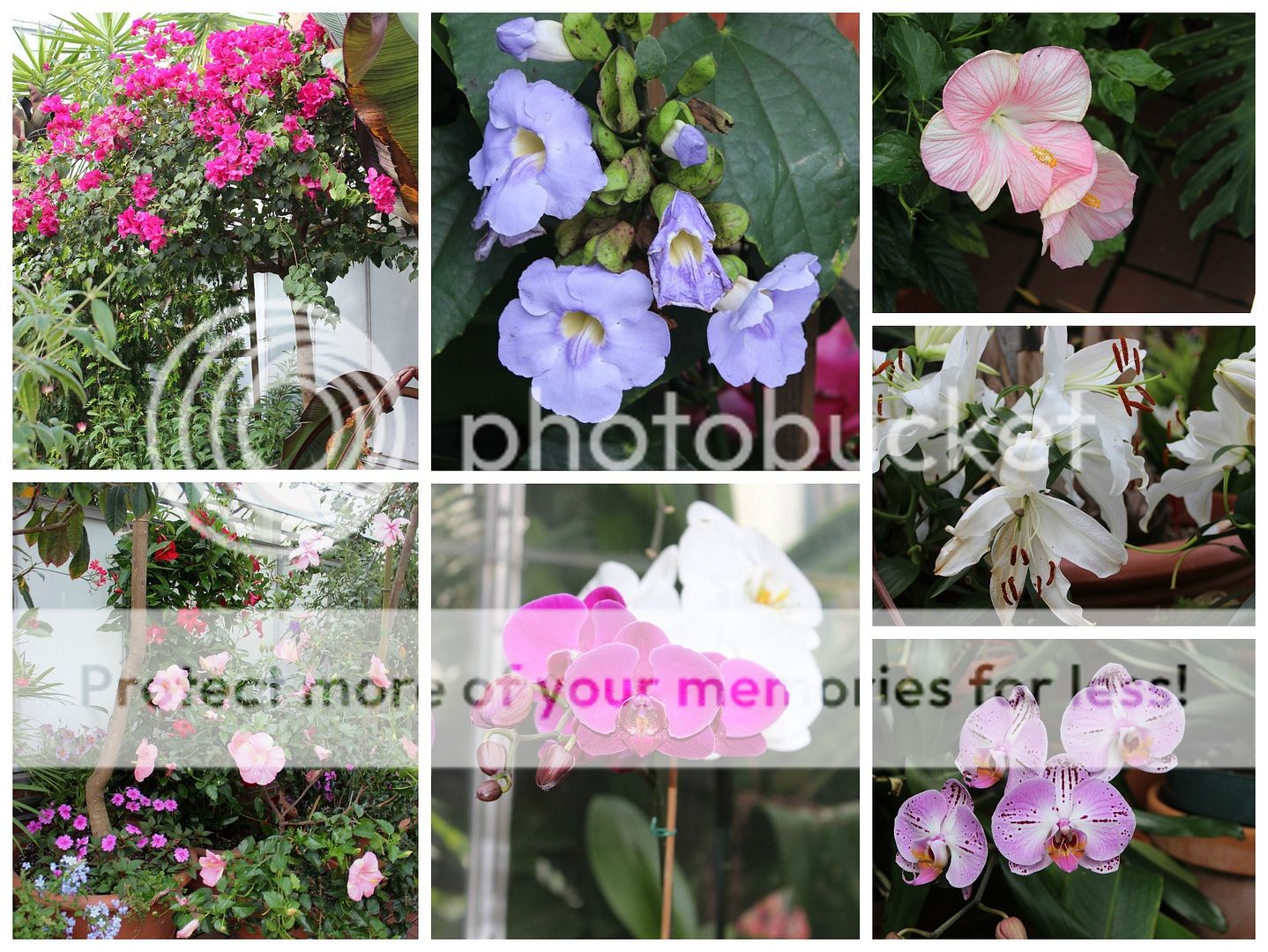 photo Asheville.collage9_zpsbw8cbqum.jpg