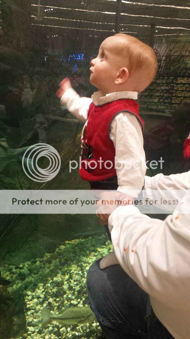 photo Santa20_zpsns7oxmbz.jpg