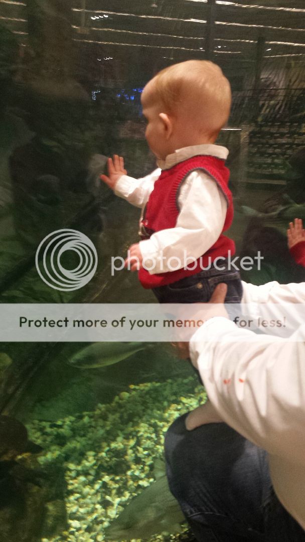 photo Santa21_zpsn9mwv4ja.jpg