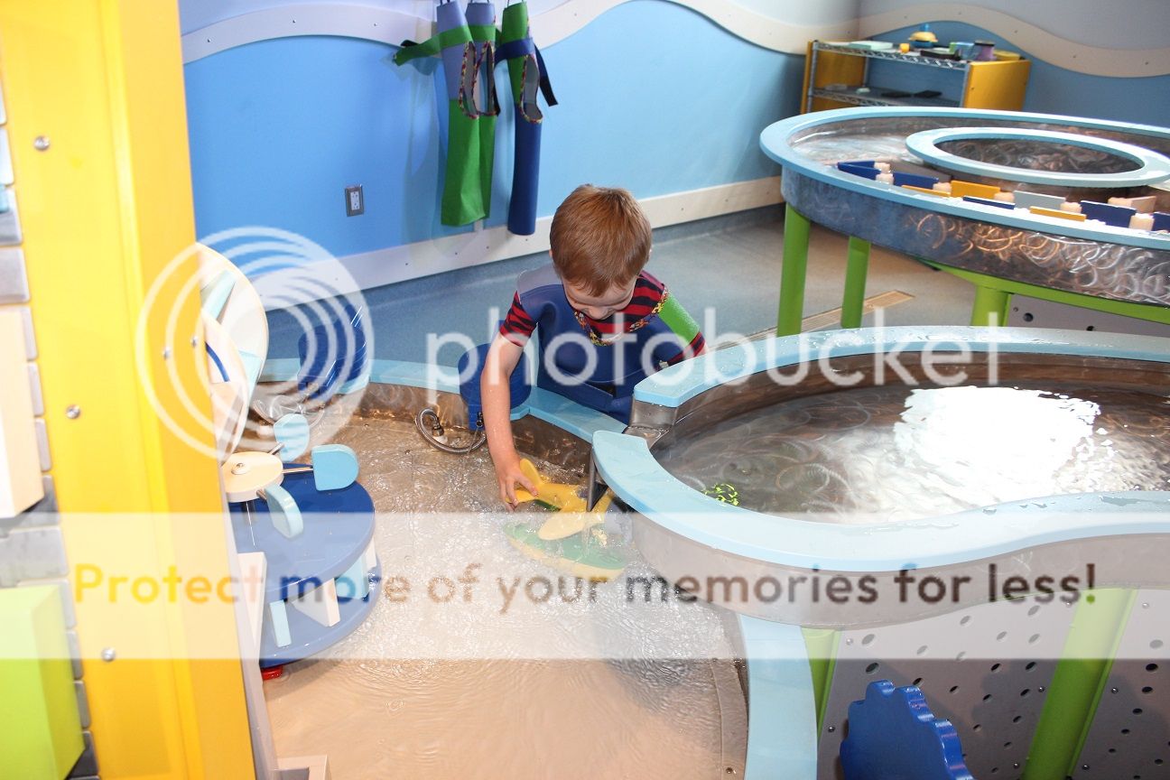photo Discovery31_zps2qwfqeok.jpg