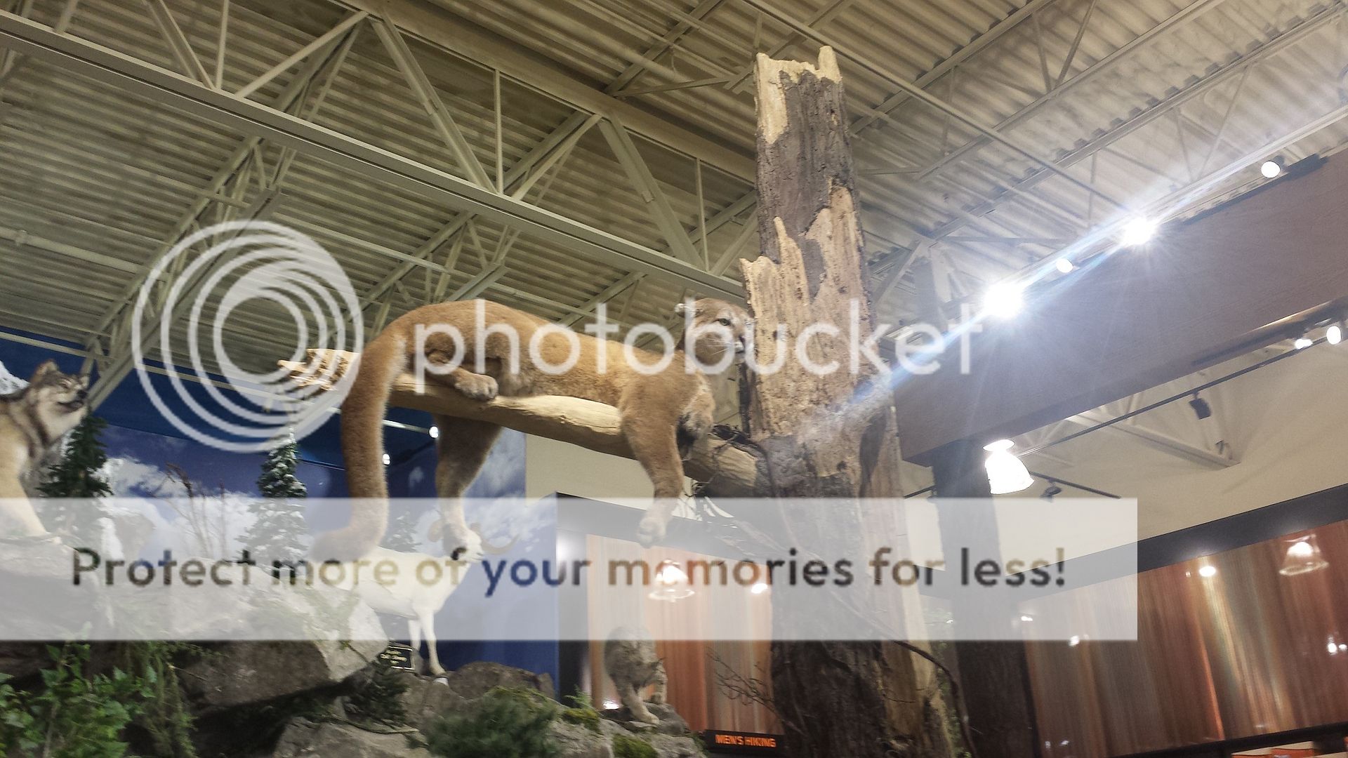 photo Memorial28_zpsg8tfjhhe.jpg