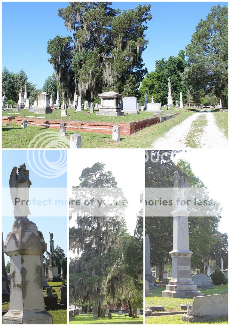 photo NewBern.collage16_zpszmgt76ql.jpg