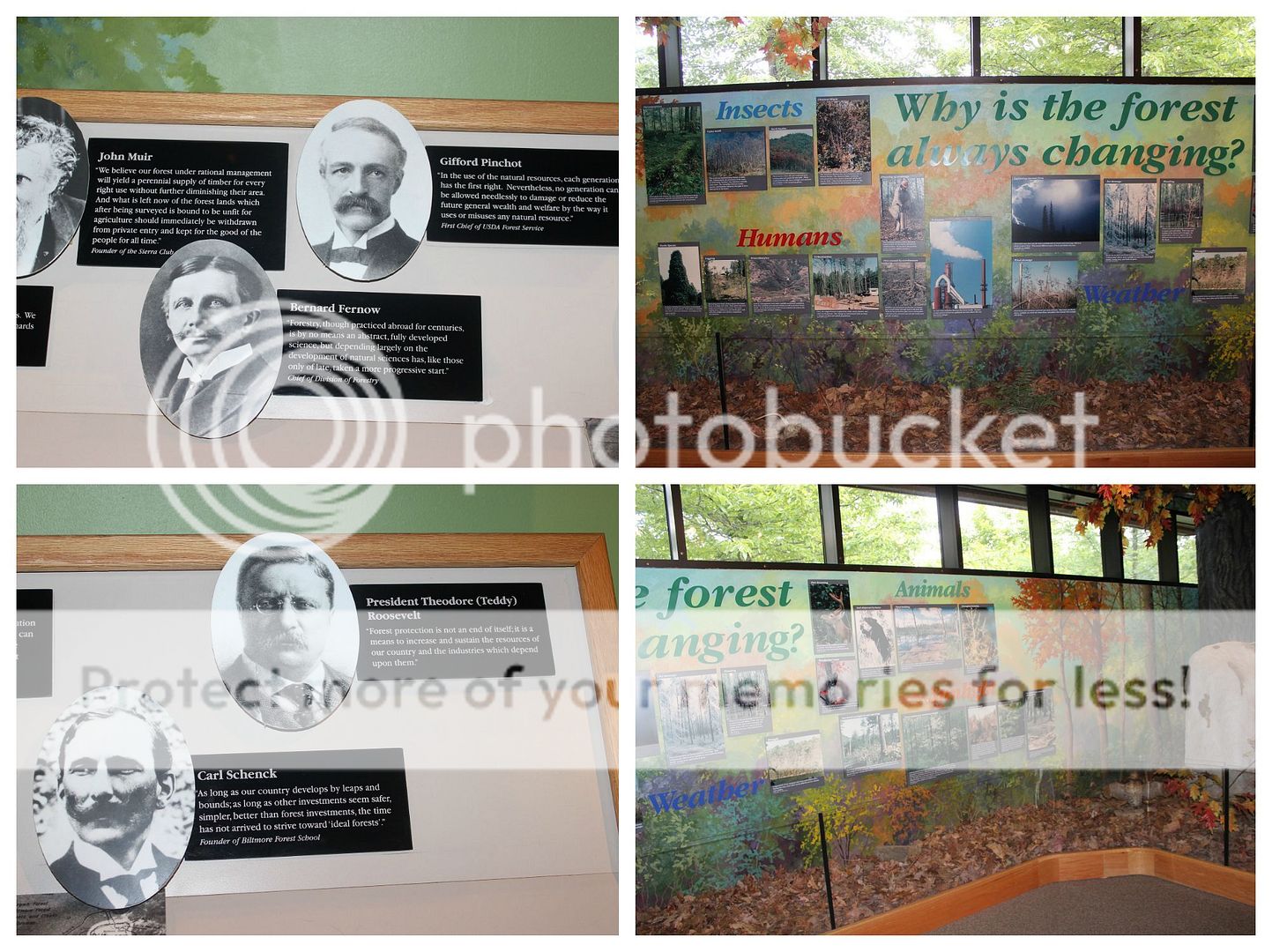 photo Pisgah.collage7_zps4ryk6cii.jpg