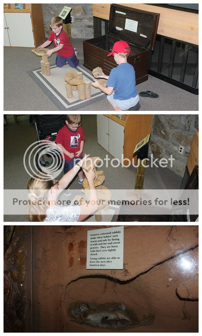 photo Pisgah.collage8_zps5dfradqr.jpg