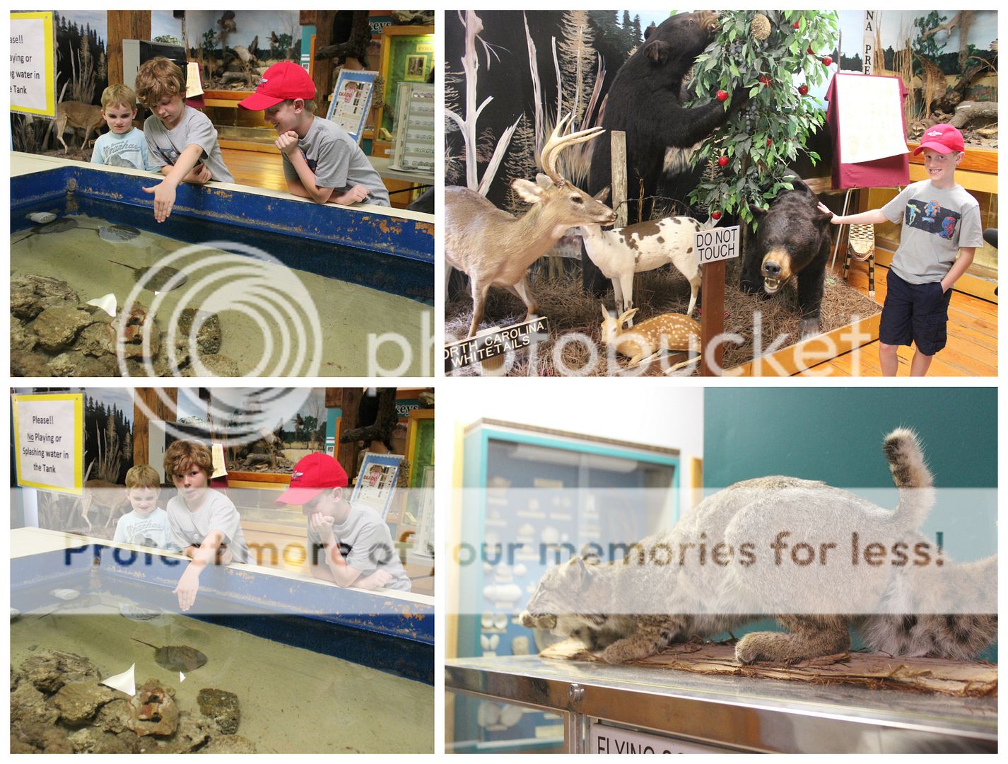 photo Kinston10_zpsm6ggdcpa.jpg
