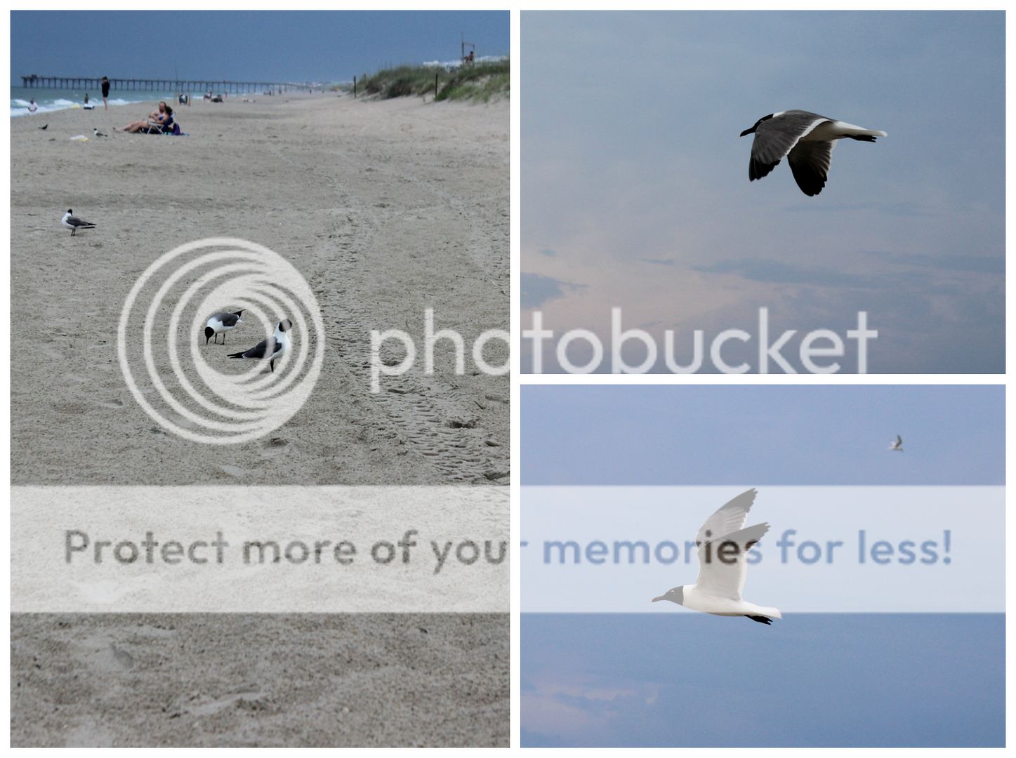 photo beach2_zpsgsxwgkxh.jpg