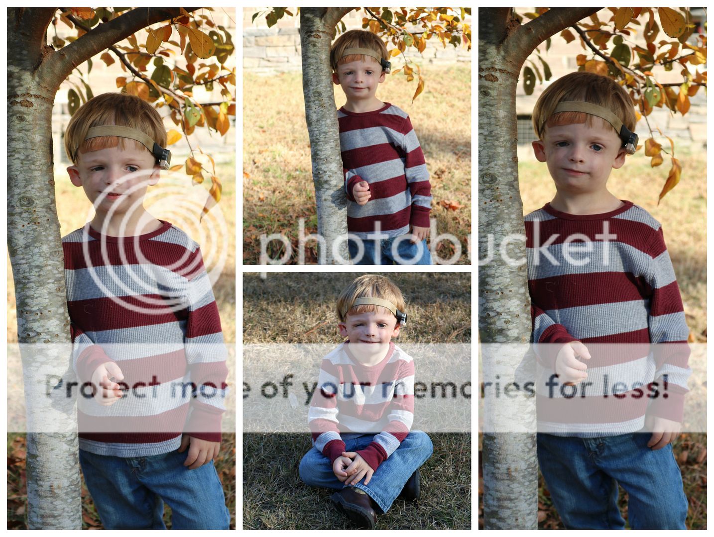 photo Thanksgiving4_zpsncoor12e.jpg