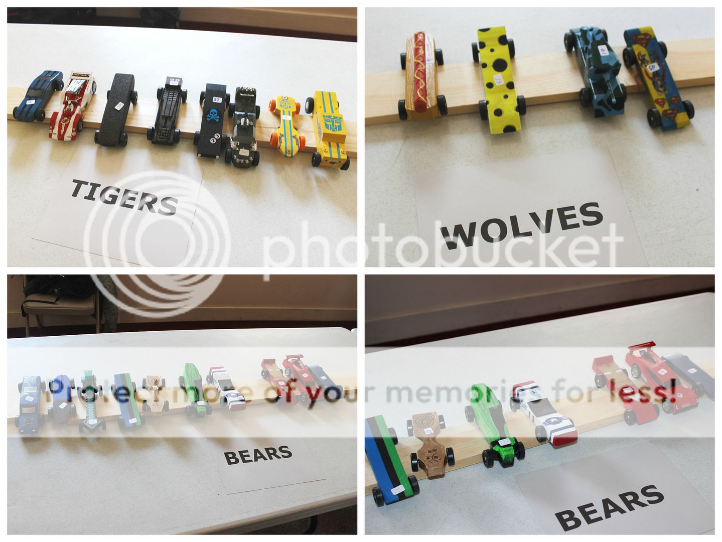 photo bears.collage2_zpstjnq9ye5.jpg