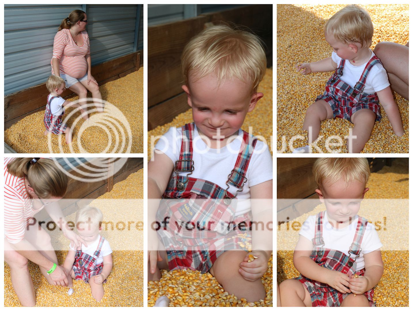 photo cornmaze16_zpsiiuo3sov.jpg