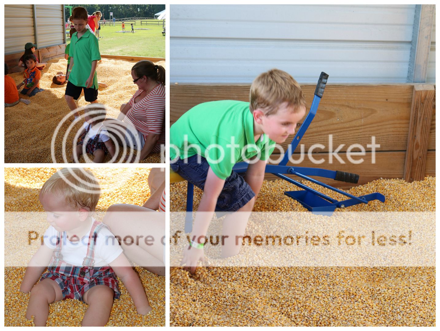 photo cornmaze17_zpsk0coqlrs.jpg