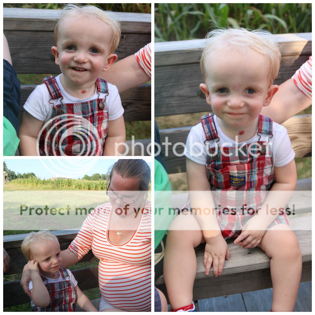 photo cornmaze26_zps0uu6hkd8.jpg