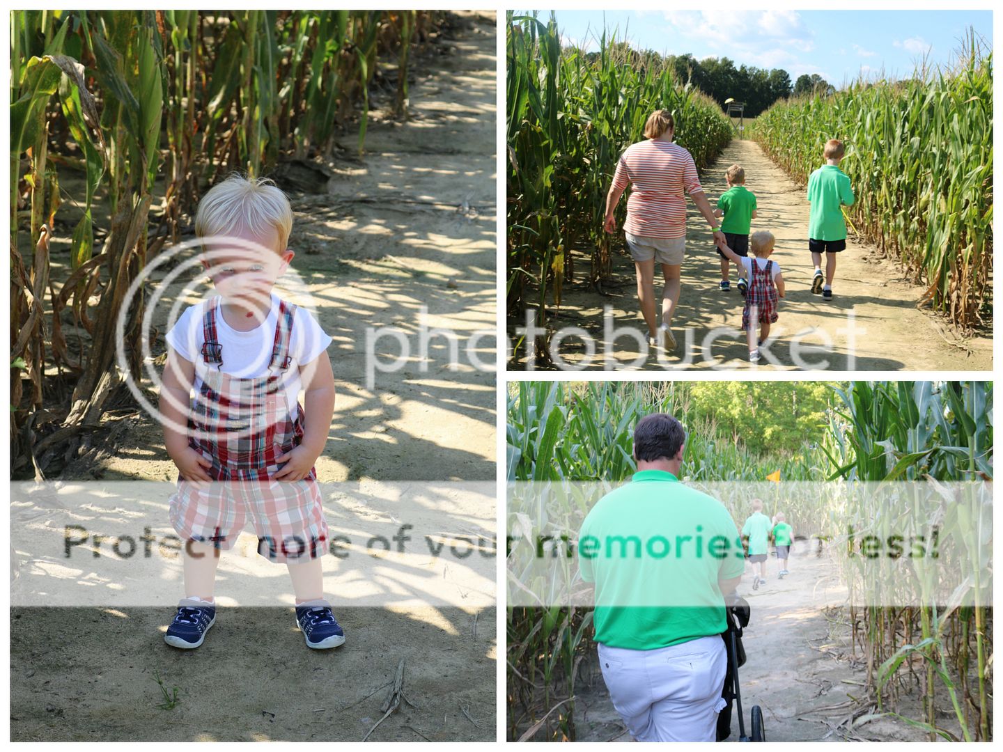 photo cornmaze2_zps6yyx5fon.jpg