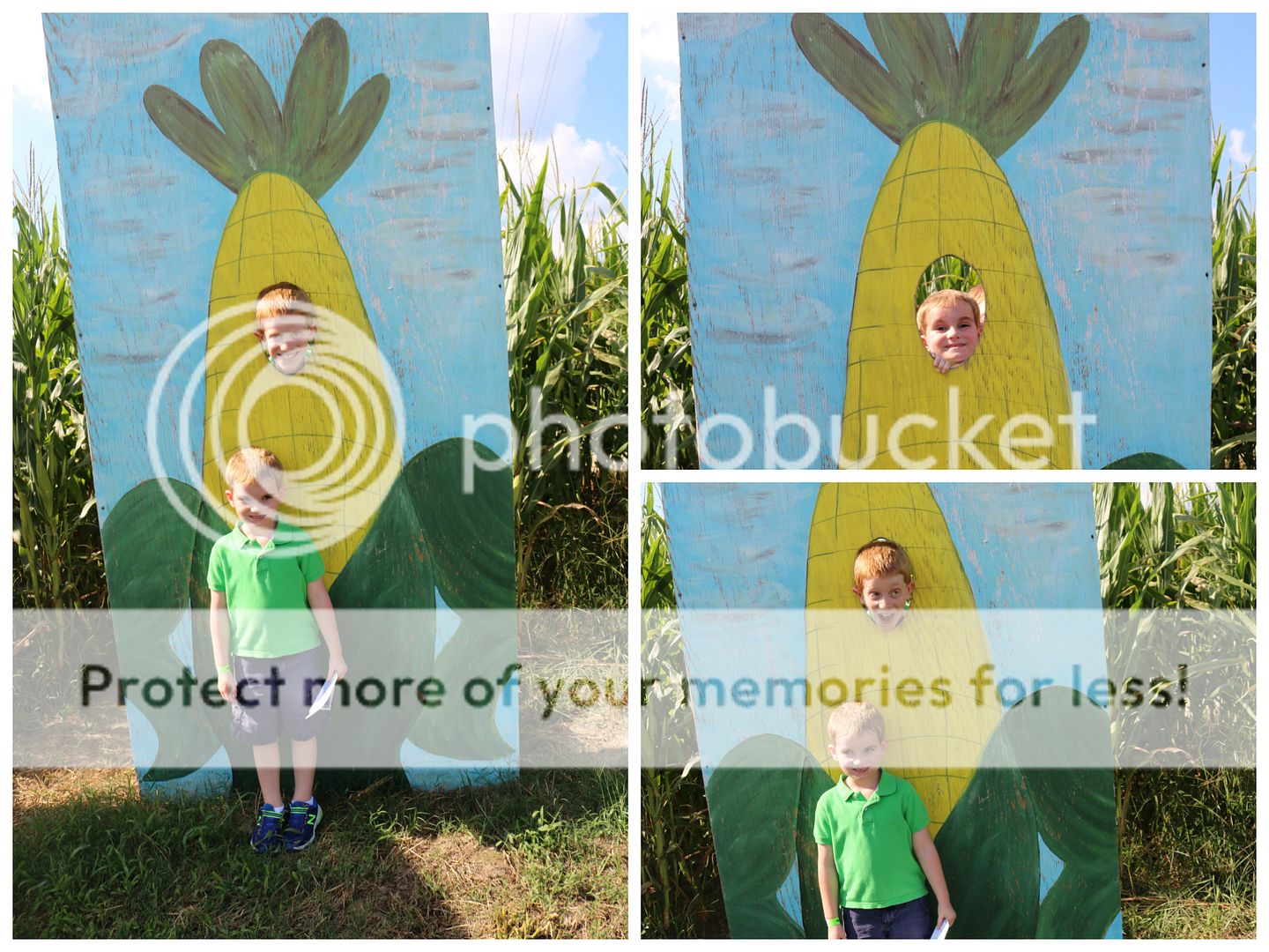 photo cornmaze3_zpsmjylk10z.jpg