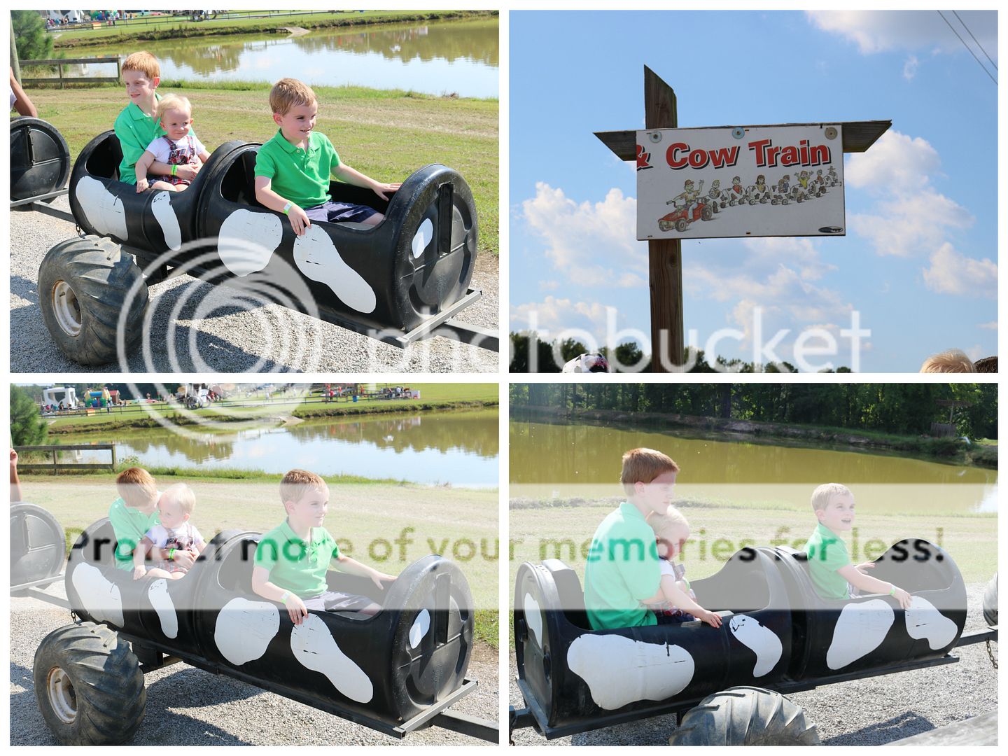 photo cornmaze4_zpsd32fbs0e.jpg