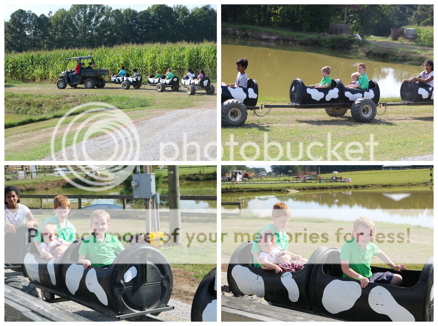 photo cornmaze5_zpshwdfracs.jpg
