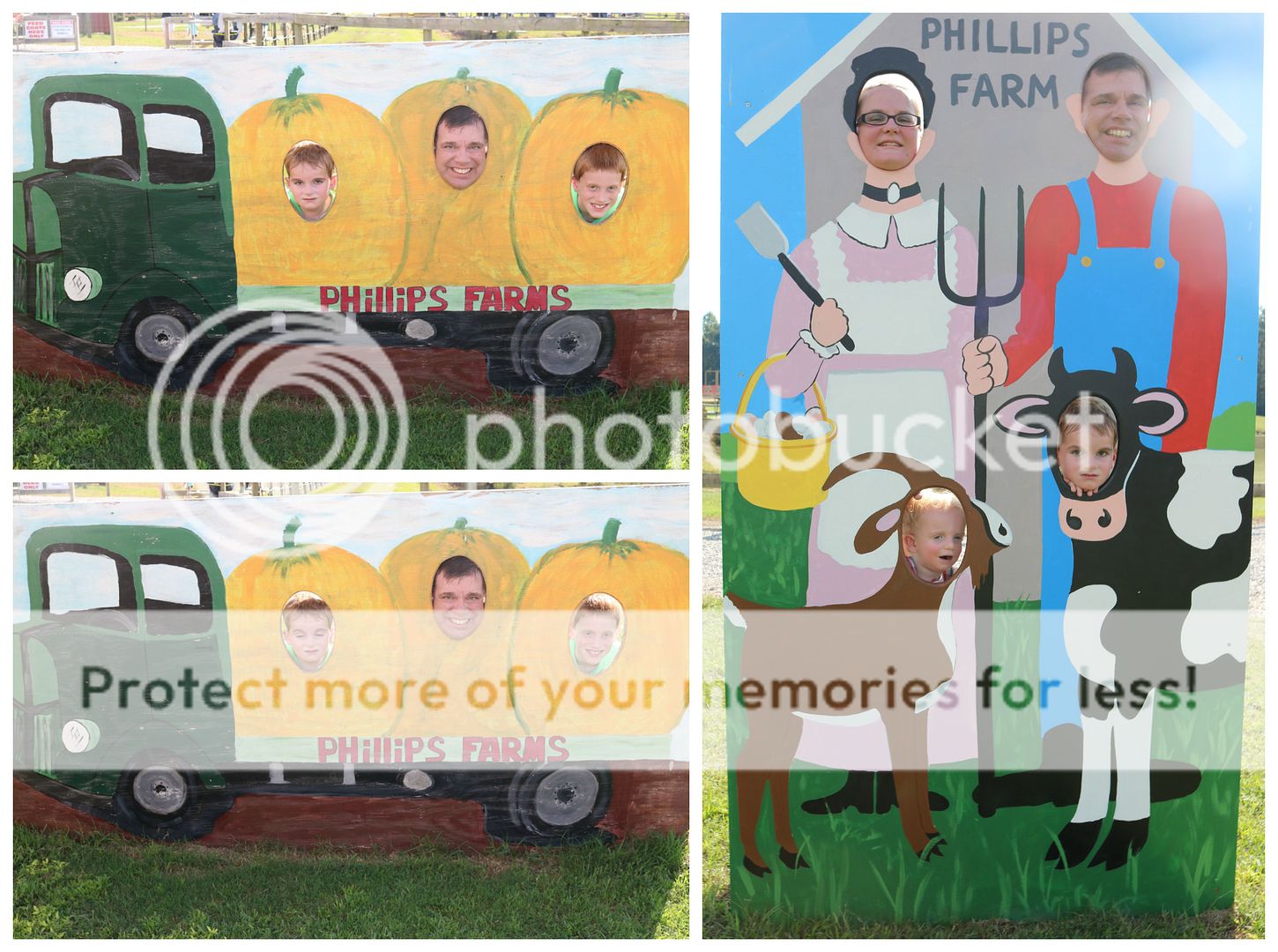 photo cornmaze6_zpsysnkosbl.jpg