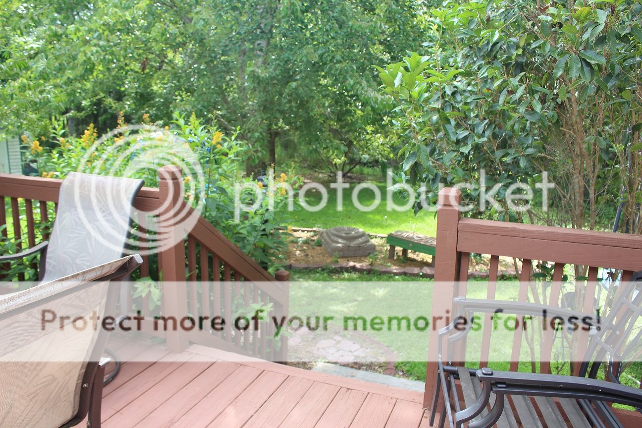 photo house56_zps7vrcdbar.jpg